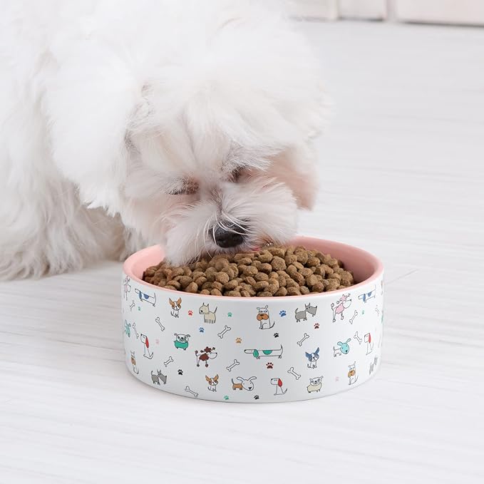 Ceramic Dog Bowls for Small Dogs, 16 Fl Oz Heavy Food and Water Bowl with Adorable Patterns (Small, Pink)
