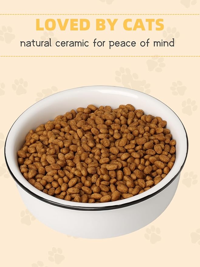 Ceramics Raised Cat Bowl for Pet Food 15 Ounces White