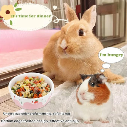2 Pcs Hamster Ceramic Bowl, Small Animals Anti-Turning Food Water Bowl for Rabbit Hamster Guinea Pig Hedgehog Squirrel (Pink and Red)