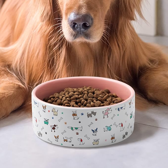 Ceramic Dog Bowls for Small Dogs, 16 Fl Oz Heavy Food and Water Bowl with Adorable Patterns (Small, Pink)