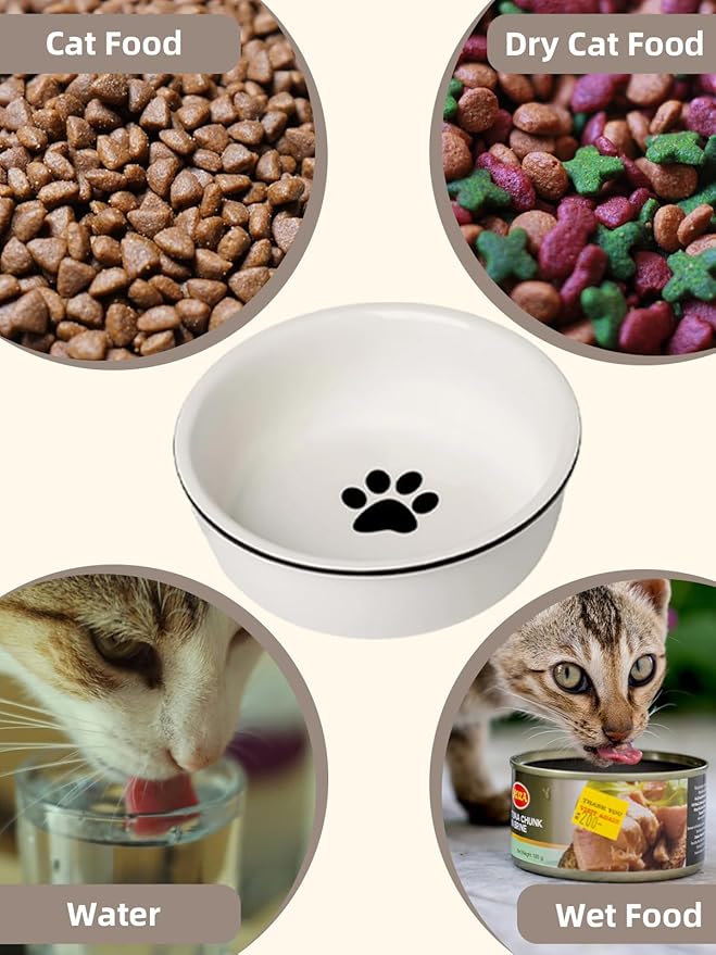 Ceramics Raised Cat Bowl for Pet Food 15 Ounces White