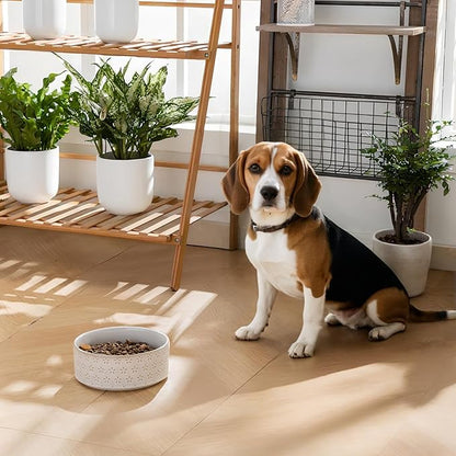 Ceramic Dog Food Bowl, 3.5 Cups or 32oz Dog Food Water Dish for Mudium Breeds, Pet Bowl Dishwasher & Microwave Safe, Five-Leaf Grass