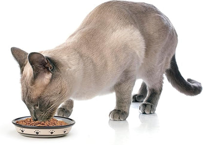 Stoneware Cat Bowl 6.25-Inch Wide and 1.5-Inch Tall Saucer with 1-Cup Capacity and Dishwasher and Microwave Safe for Small Dogs and Cats, Black