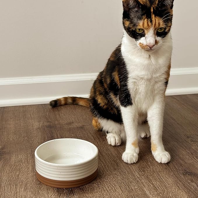 Ceramic Pet Bowl Size Small - Food/Water Dish for Puppy Dogs, Cats, Guinea Pig, Rabbit, Hamster, Snake, ect. 11oz or 2 Cups - Basic Bowls for Your Dog or Cat, Mix and Match for a Set - Vanillla
