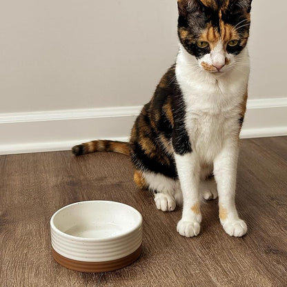 Ceramic Pet Bowl Size Small - Food/Water Dish for Puppy Dogs, Cats, Guinea Pig, Rabbit, Hamster, Snake, ect. 11oz or 2 Cups - Basic Bowls for Your Dog or Cat, Mix and Match for a Set - Vanillla