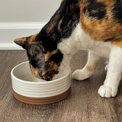 Ceramic Pet Bowl Size Small - Food/Water Dish for Puppy Dogs, Cats, Guinea Pig, Rabbit, Hamster, Snake, ect. 11oz or 2 Cups - Basic Bowls for Your Dog or Cat, Mix and Match for a Set - Vanillla