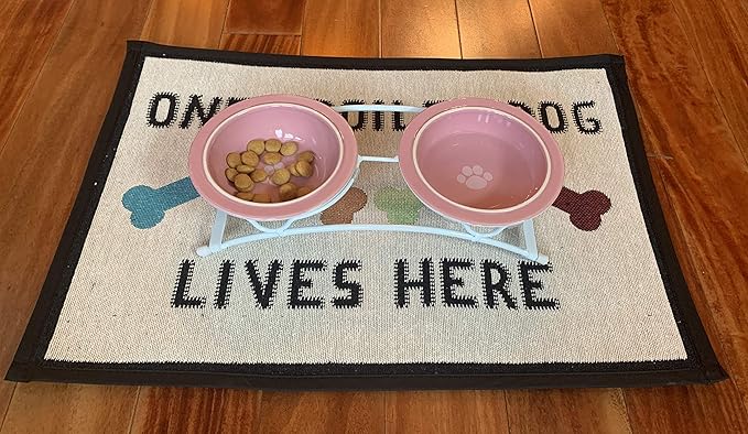 Two 1-Cup Dishwasher-Safe Stoneware Bowl Capacity 10.75-Inch Length 2.25-Inch Tall for Extra Small and Small Dogs and Cats, White and Pink