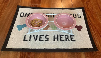 Two 1-Cup Dishwasher-Safe Stoneware Bowl Capacity 10.75-Inch Length 2.25-Inch Tall for Extra Small and Small Dogs and Cats, White and Pink